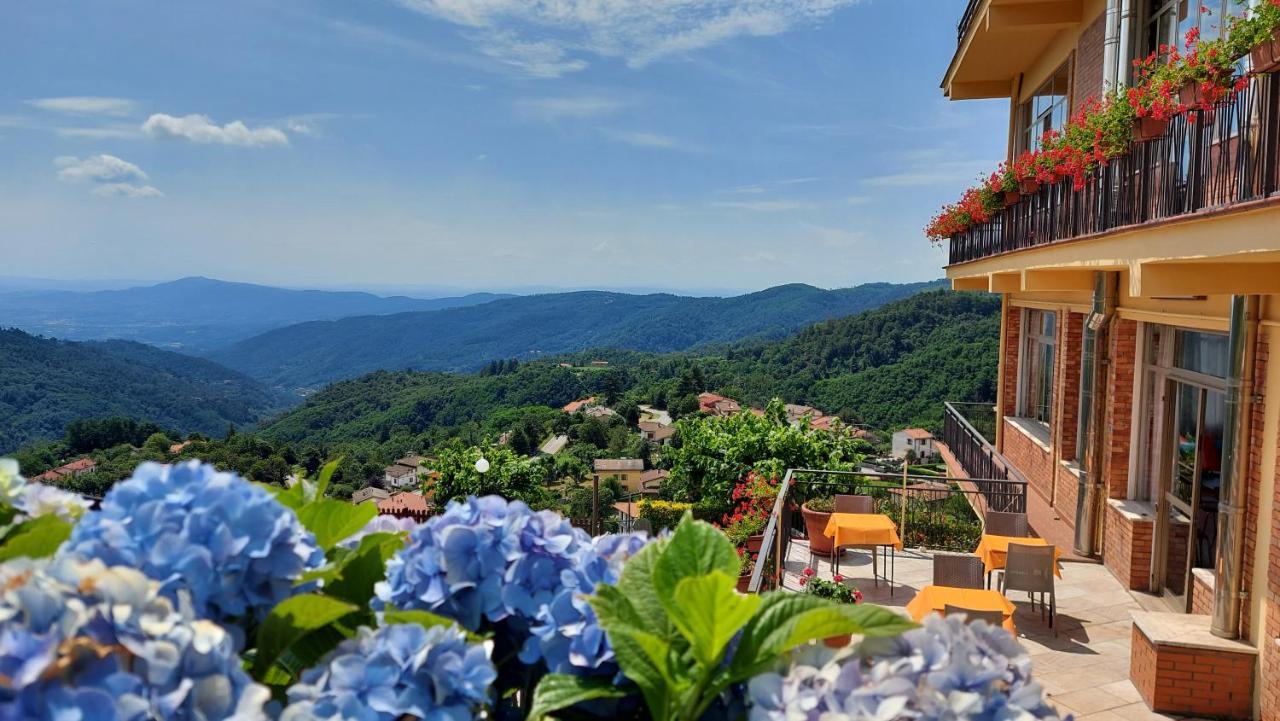 Aparthotel Amelia Dream View Momigno Exterior photo